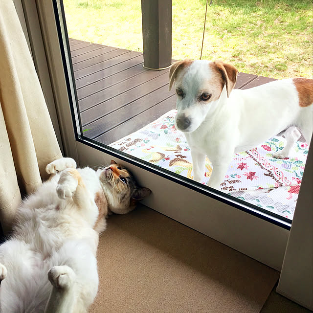 nanaさんの実例写真