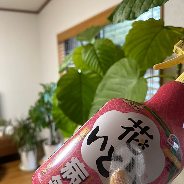 mizuyoさんの実例写真