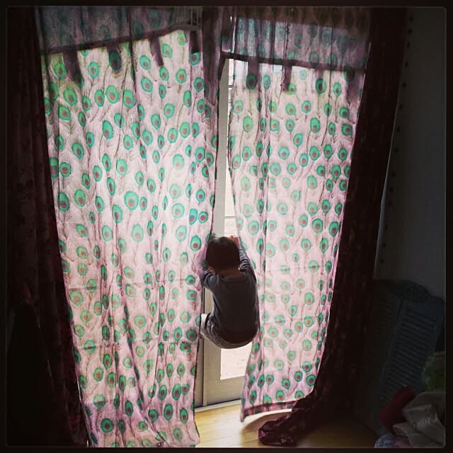 joiedevivreさんの実例写真
