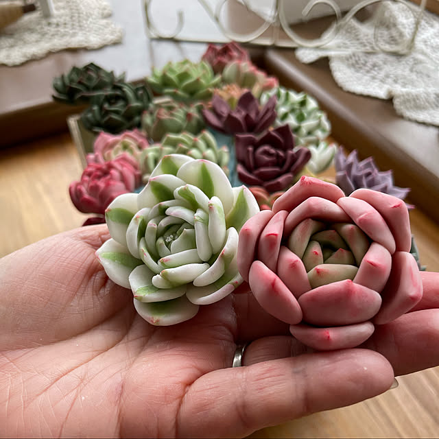 yoko_petitbonheurさんの実例写真