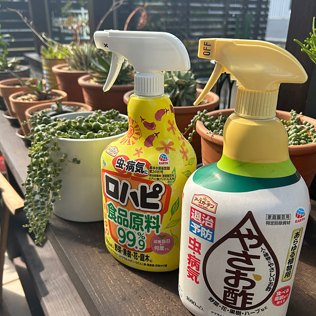 kuroさんの実例写真