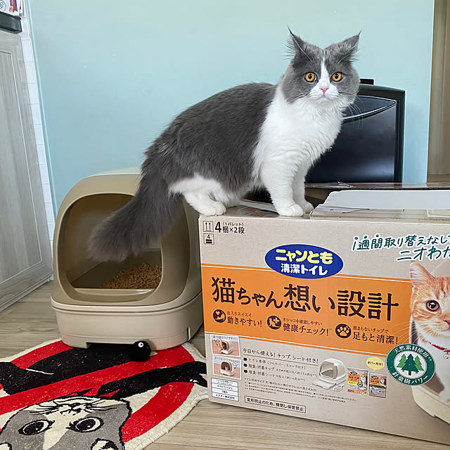 victorianさんの部屋