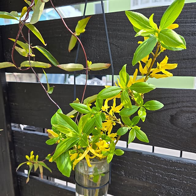 min_nimさんの部屋