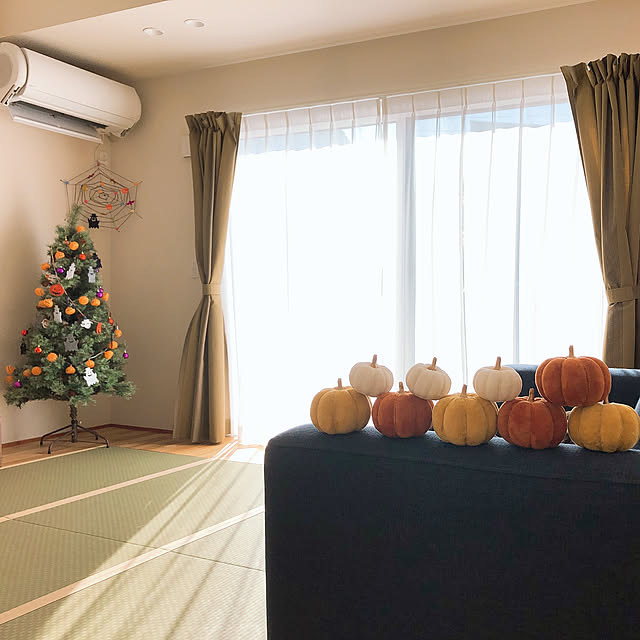 kossyさんの実例写真