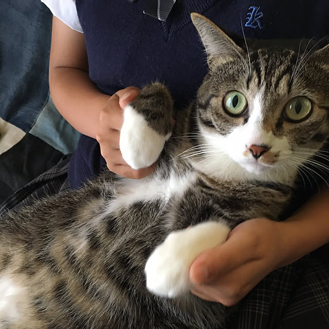 kimikimiさんの実例写真