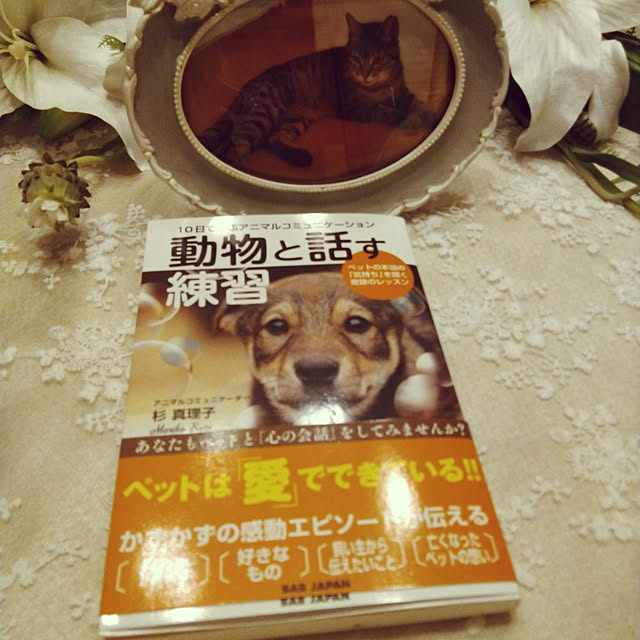 lilyさんの実例写真