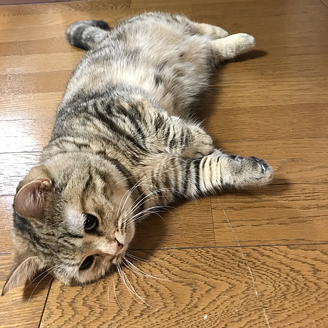 keibooさんの実例写真