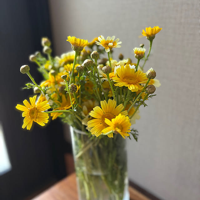 Minteaさんの部屋