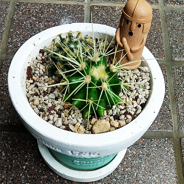 SHImさんの実例写真