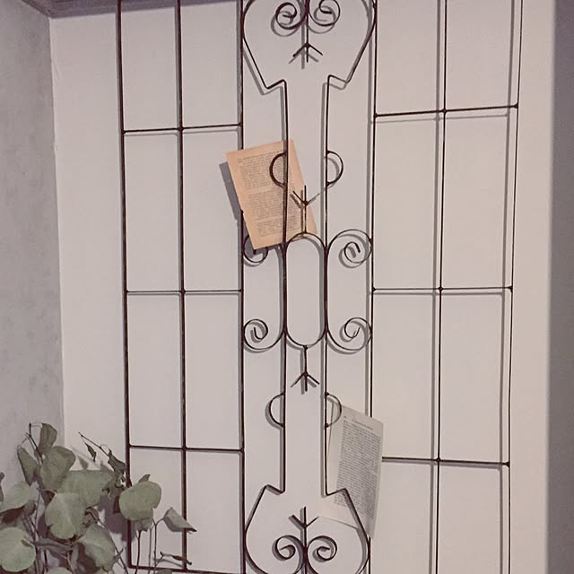 sacchiさんの実例写真