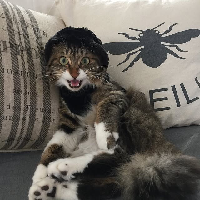 yuchiさんの実例写真