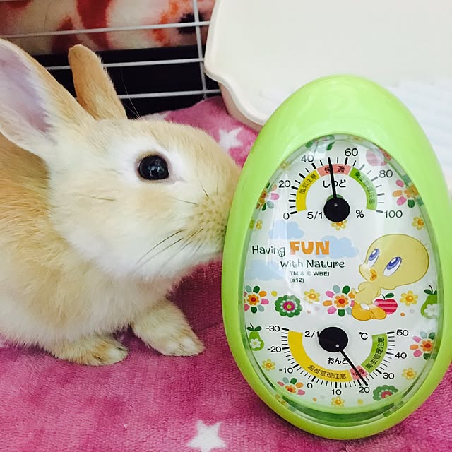 khj1974さんの実例写真