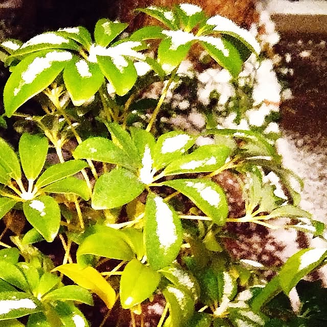 katさんの部屋