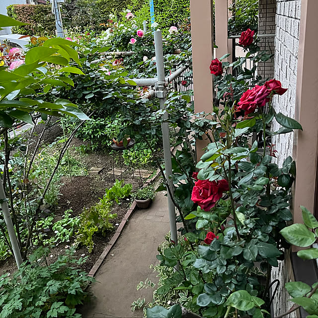 botanさんの実例写真