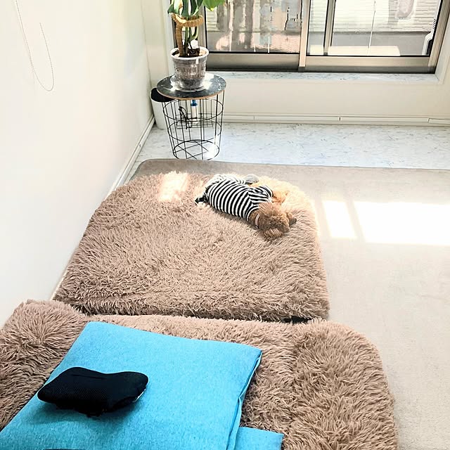 MOMOMAMAさんの部屋