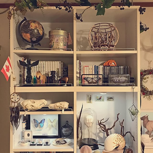 Anne_Yukiyanagiさんの実例写真