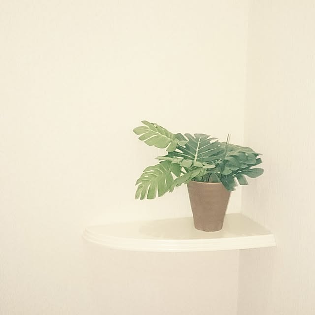 mintさんの実例写真