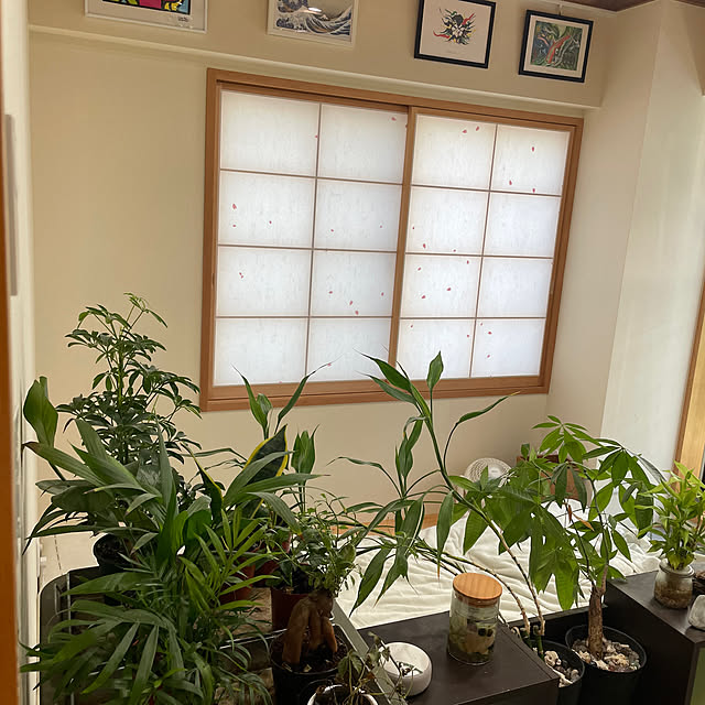 haruharuさんの実例写真