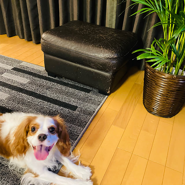 minniさんの部屋
