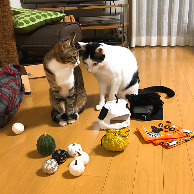 nobikoさんの実例写真