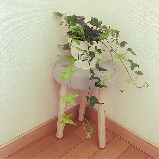 appleさんの実例写真