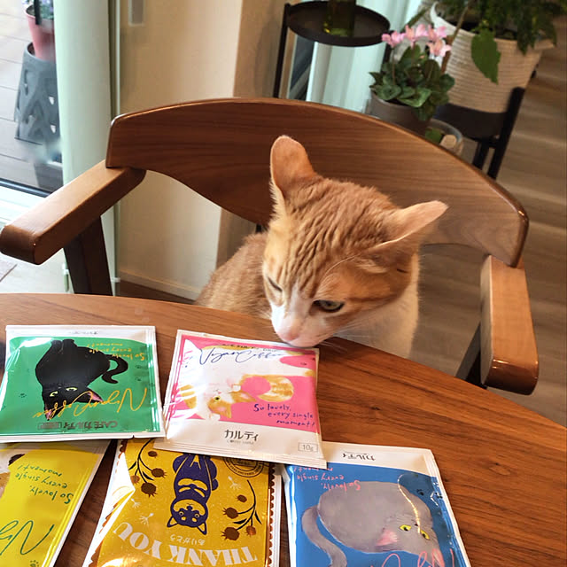 houenさんの部屋