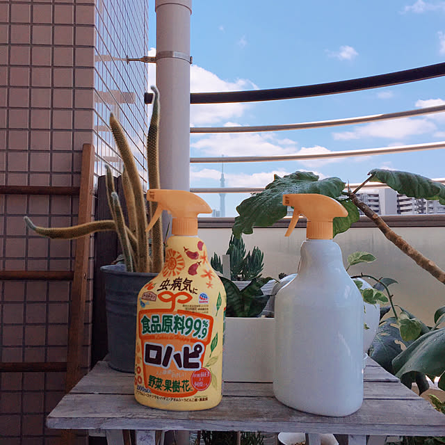 HKSさんの実例写真