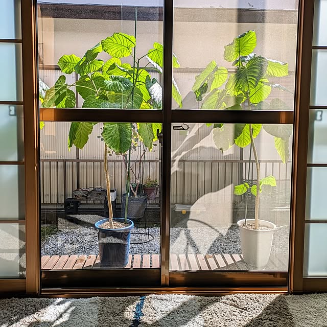 Renさんの実例写真