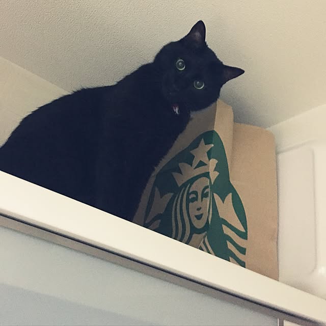 fuminさんの実例写真