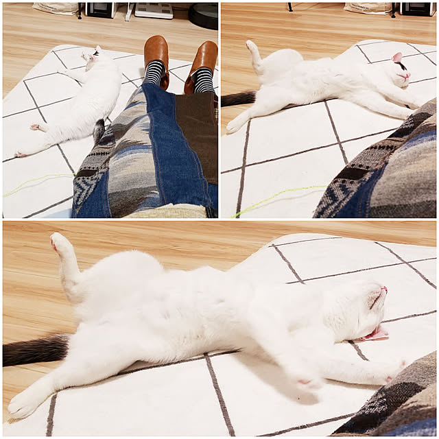minesako163さんの実例写真