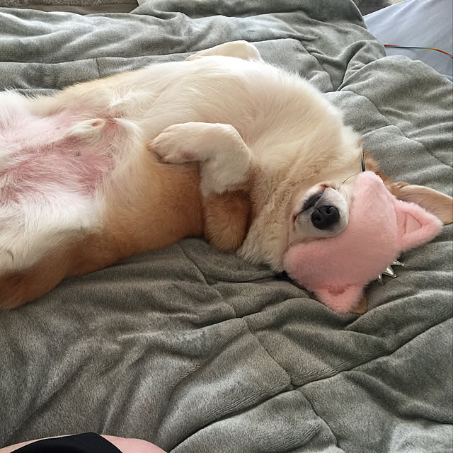 mihoさんの実例写真