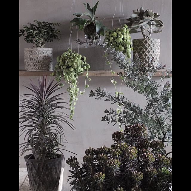 Junk_sweet_Garden_teftefさんの実例写真