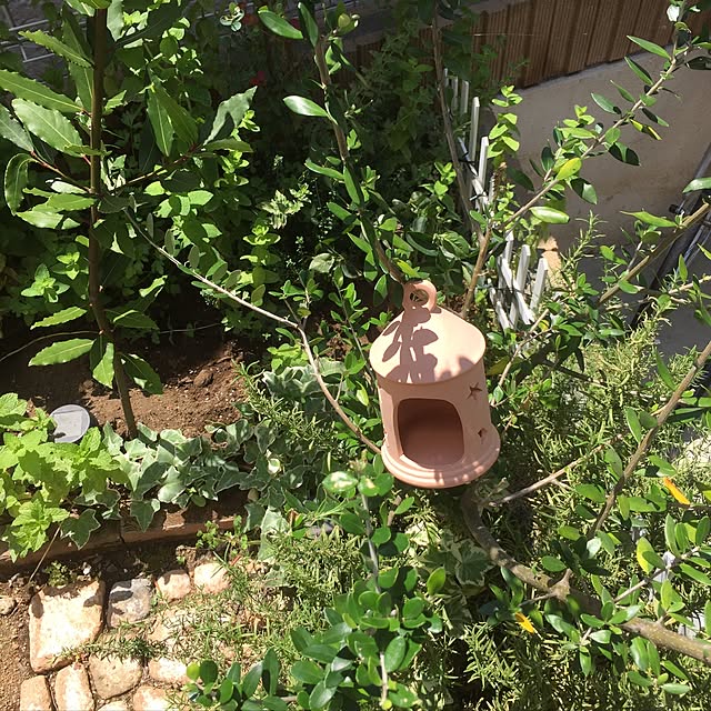pikarunさんの実例写真