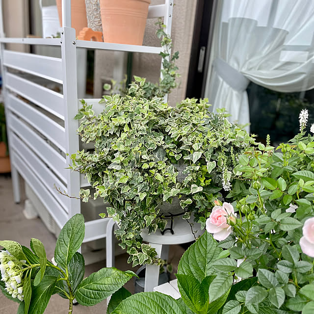 yasuyo66さんの部屋