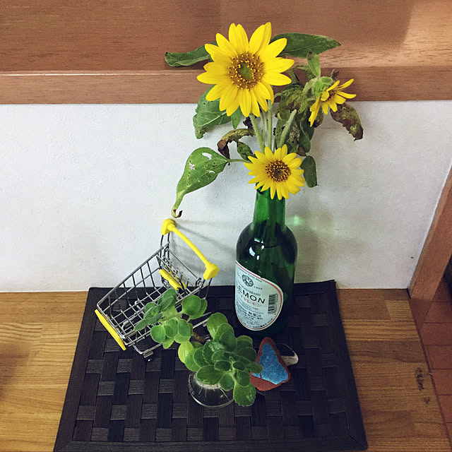 tudukiさんの実例写真