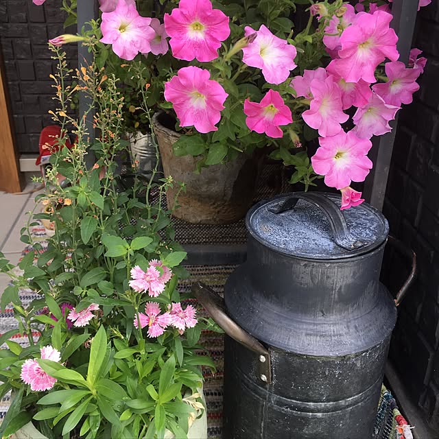 cocco0505さんの実例写真