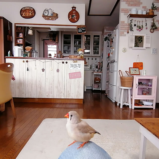 junjunさんの実例写真