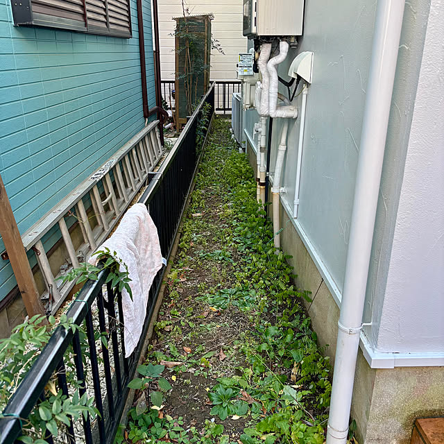 kasugaiさんの部屋