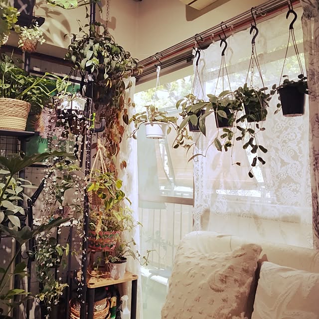 runaさんの部屋