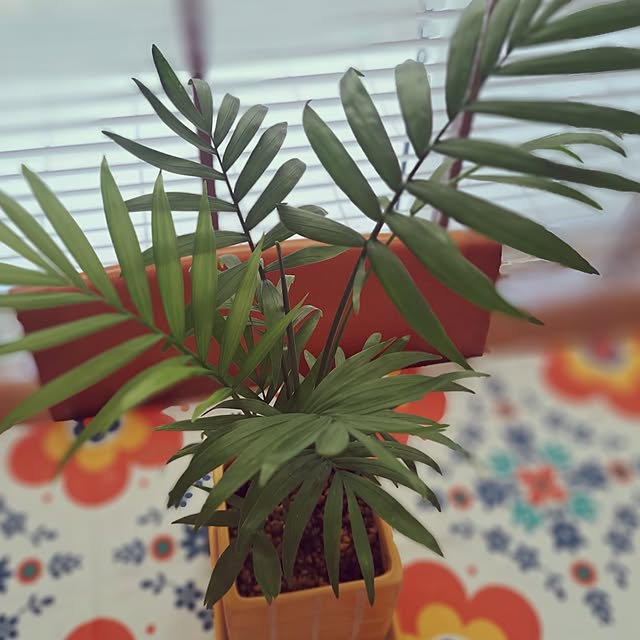 sakura_3さんの部屋