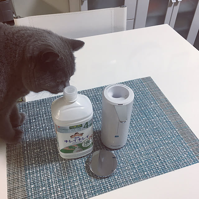 kittyさんの実例写真