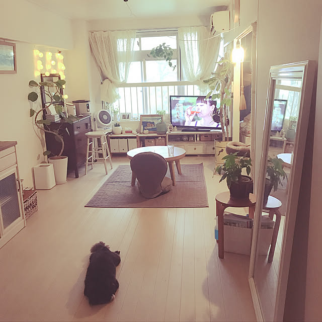 mukkomikkoさんの実例写真
