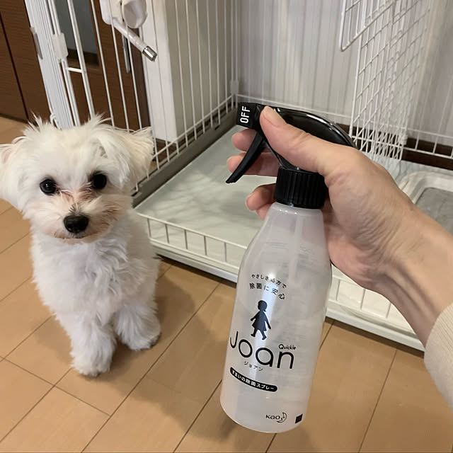 Yoshikoさんの実例写真
