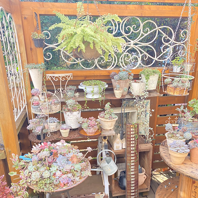 mintteaさんの部屋