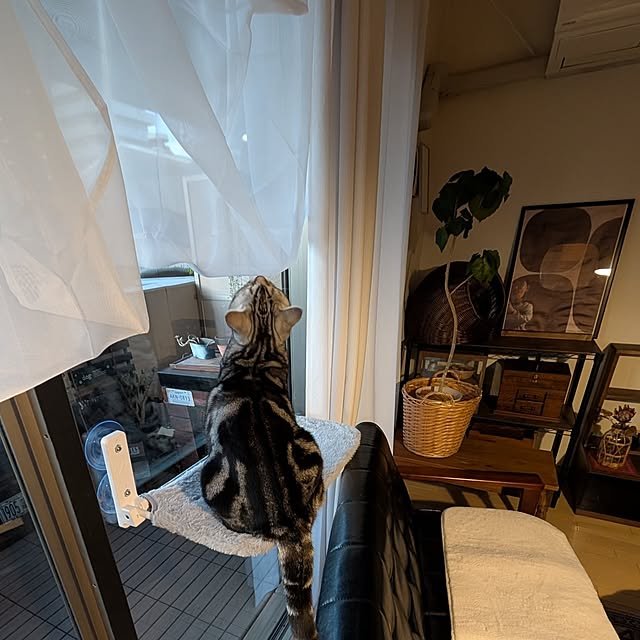 lovepeaceさんの部屋