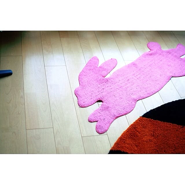 usaginohaijiさんの実例写真