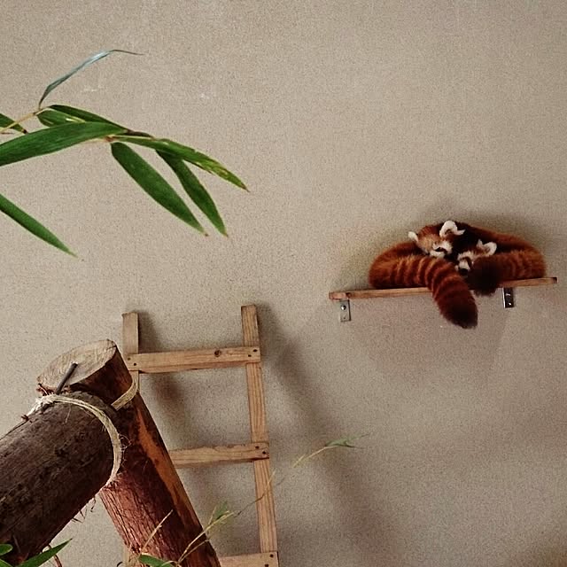 kikuさんの実例写真