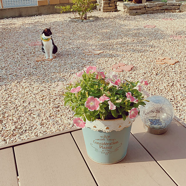 moolさんの部屋
