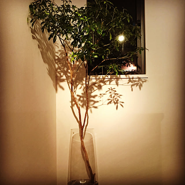 壁/天井のインテリア実例 - 2018-10-06 07:39:38