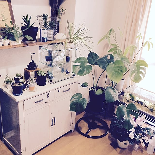 interior_yuさんの実例写真